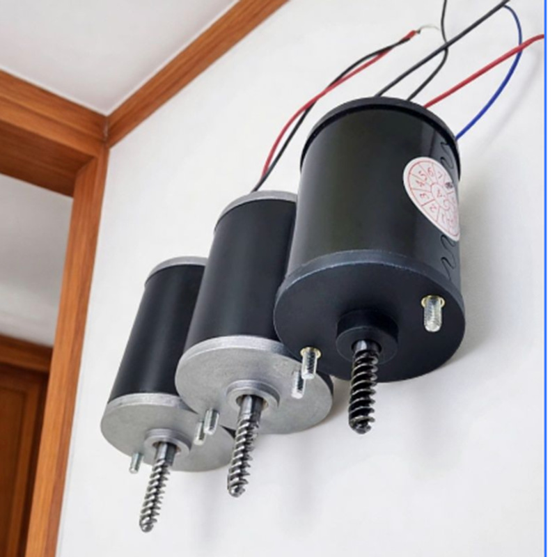 Anti Pull Crane Motor 24V 48V  - đánh giá và giá Crane Claw Motor