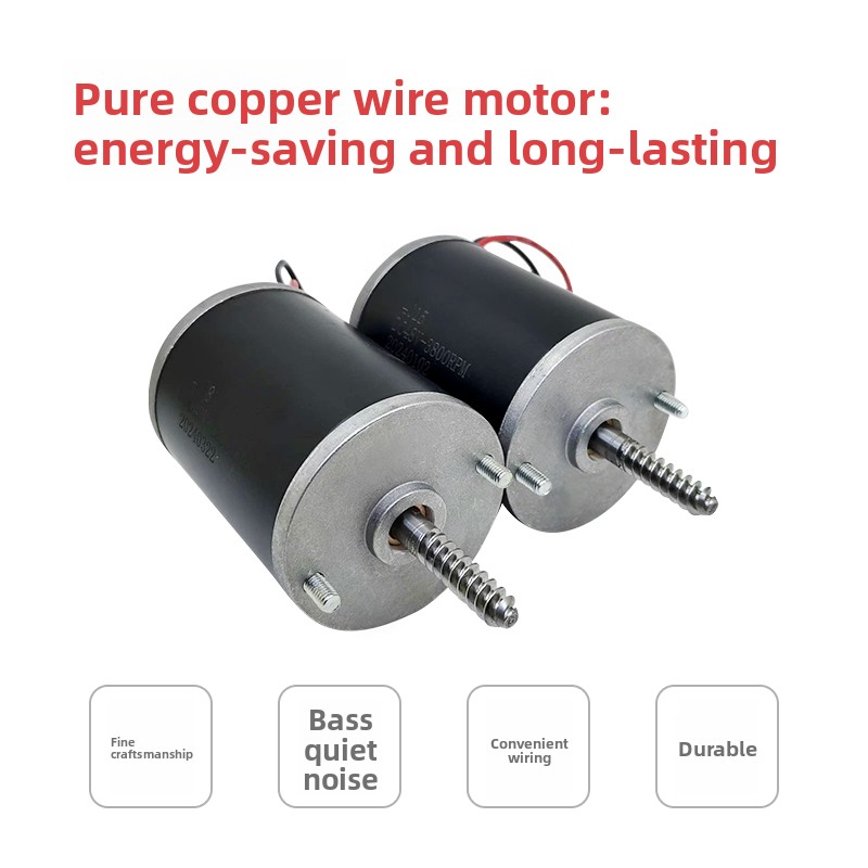 Durable 24V 48V Motor for Claw - đánh giá và giá Crane Claw Motor